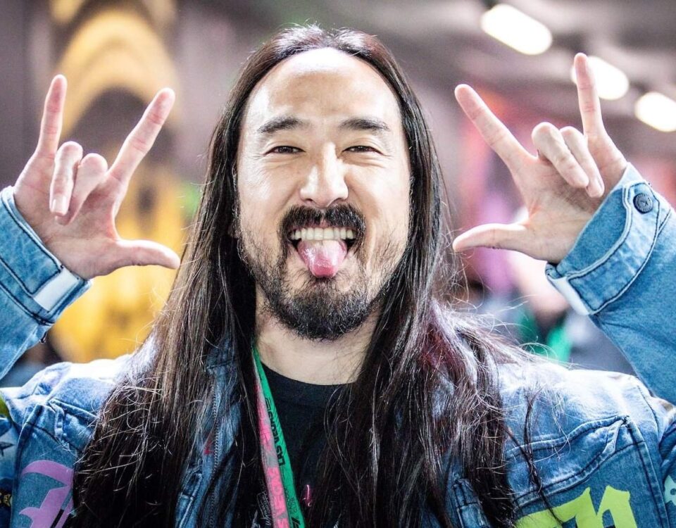 steve aoki net worth